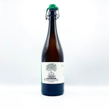 Load image into Gallery viewer, WAYSIDE HALF-WILD CIDER 2022 750ML
