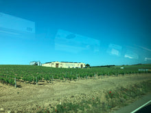 Load image into Gallery viewer, VAL DE LOS FRAILES PAGO DE LAS COSTANAS 2006 750ML
