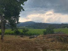 Load image into Gallery viewer, BEADE RIBEIRO AUTOR LOUREIRA 2017 750ML
