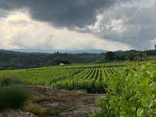 Load image into Gallery viewer, SENORIO DE BEADE RIBEIRO BLANCO 2021 750ML
